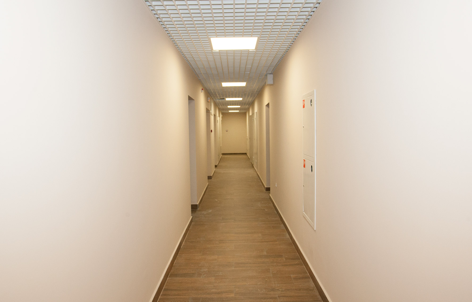 383I8157.jpg